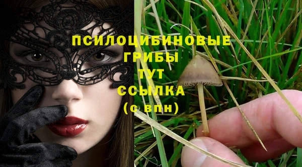 гидра Абаза