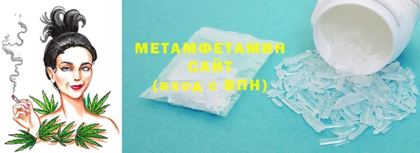 прущие грибы Коряжма