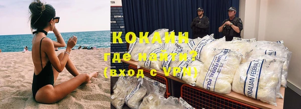 трава Корсаков