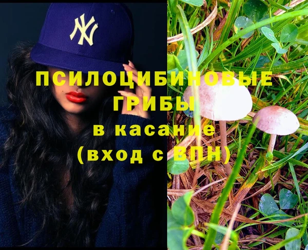 сатива Алексеевка