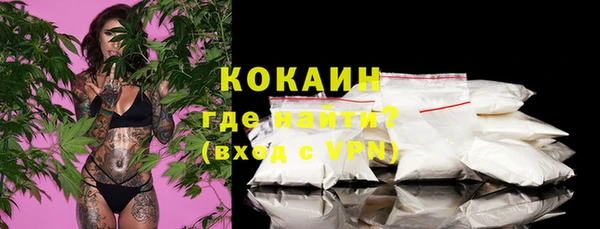 гидра Абаза